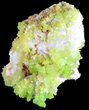 Pyromorphite Crystal Cluster - China #63687-2